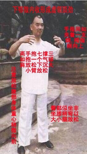 26.jpg
