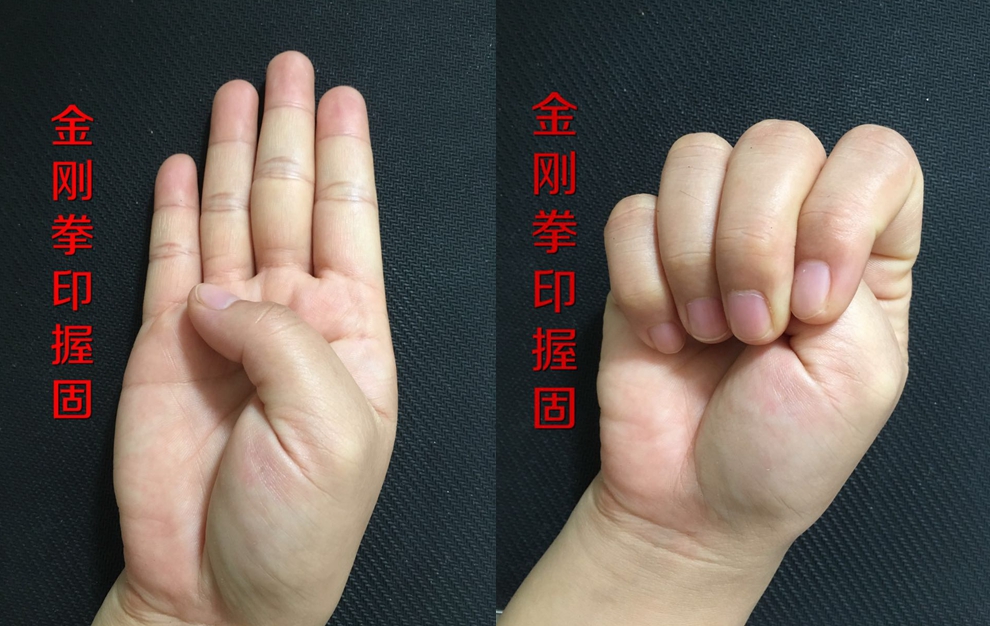 867224263991019048_副本.jpg